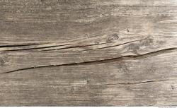 Photo Textures of Wood